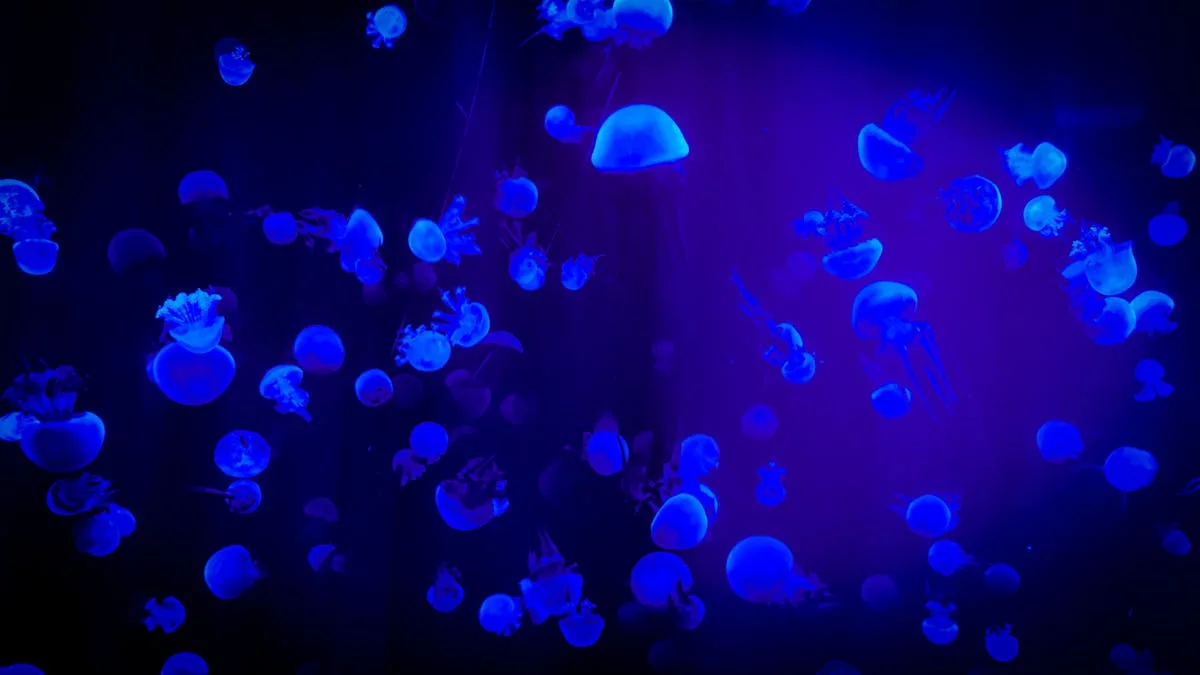 Méduses bleues luminescentes à l'aquarium de Palma