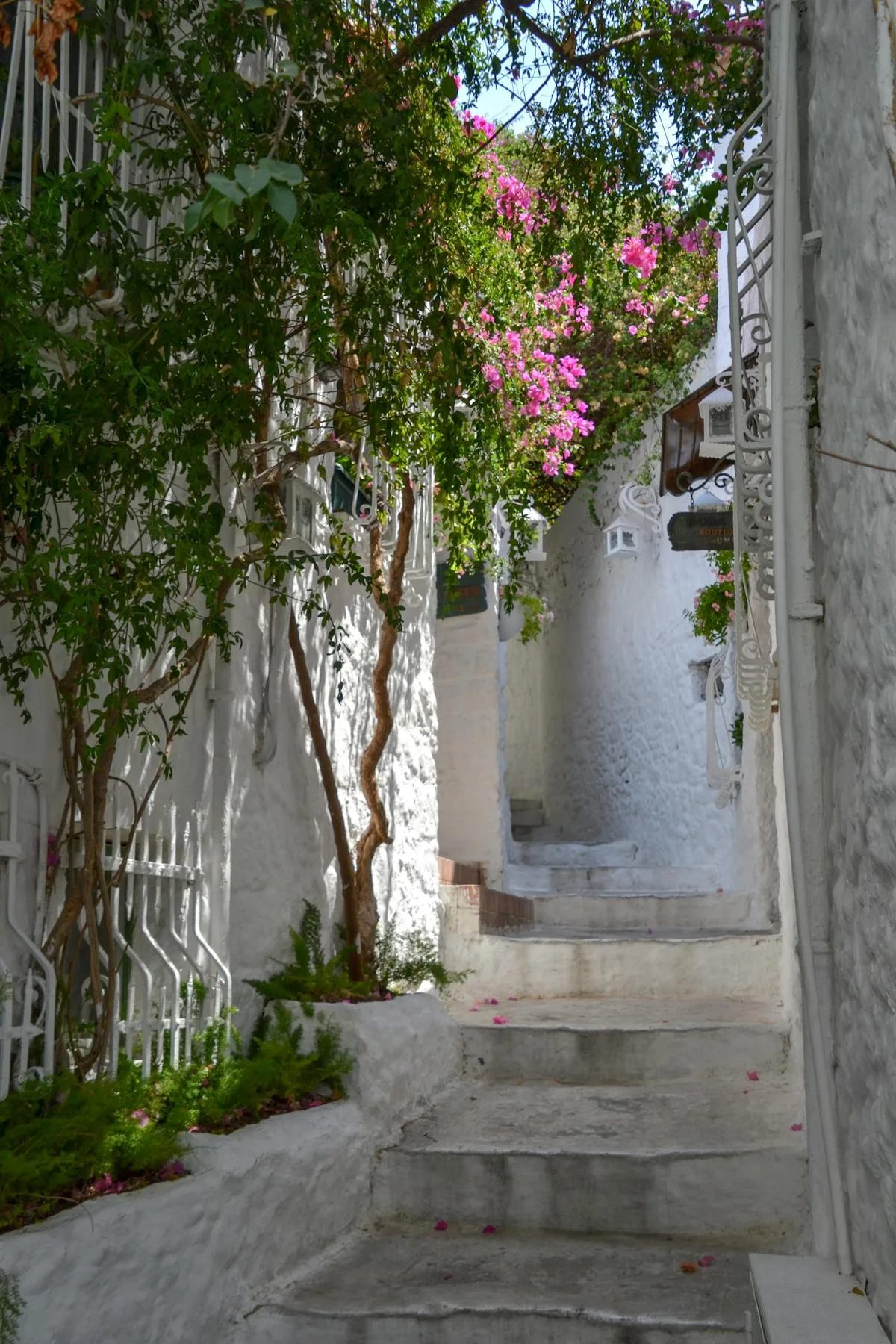 Ruelle fleurie du village de Valldemossa dans la Serra de Tramuntana