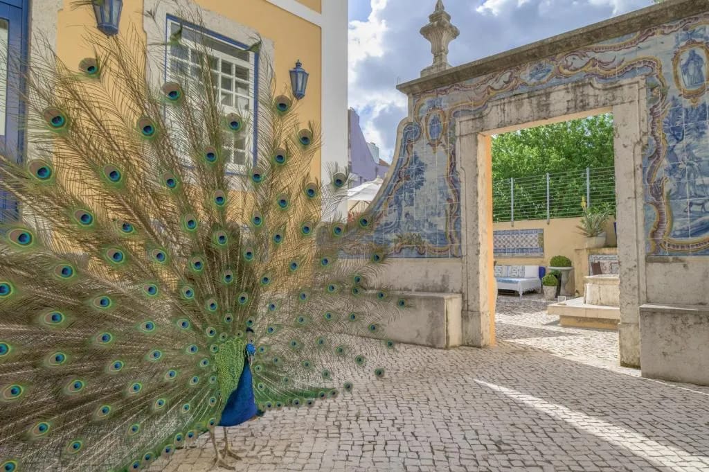 Solar do Castelo - Lisbon Heritage Collection - Alfama - 4-star hotel in Santa Maria Maior, Lisbon - photo 1