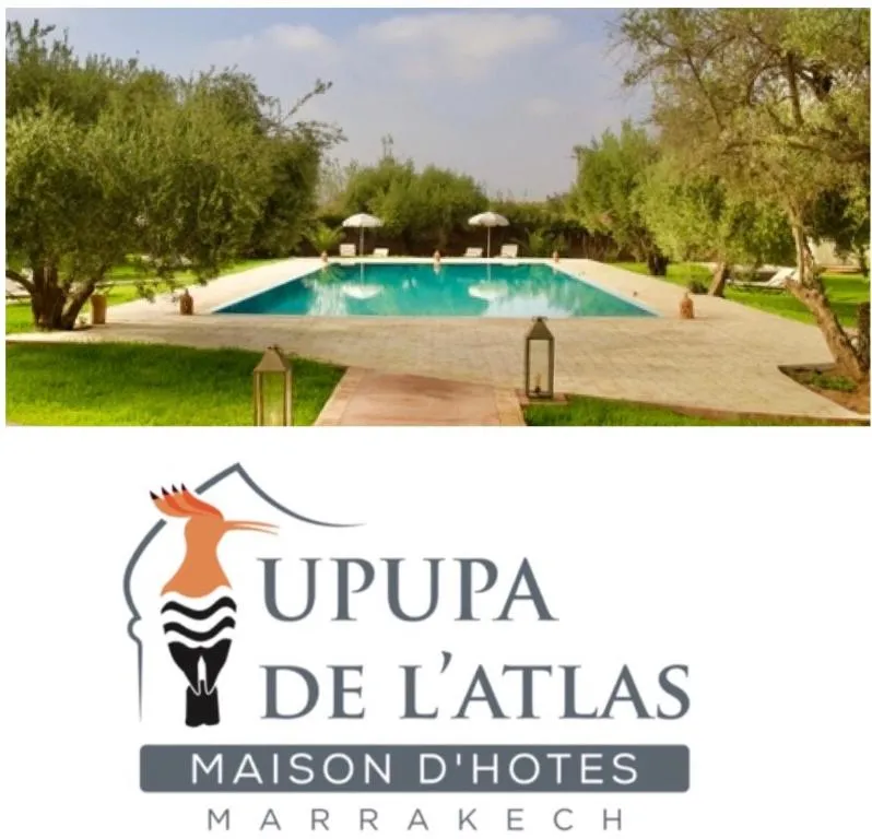 Upupa de l’Atlas - Hotel de 3 estrellas en Marrakech, Marrakech - photo 1