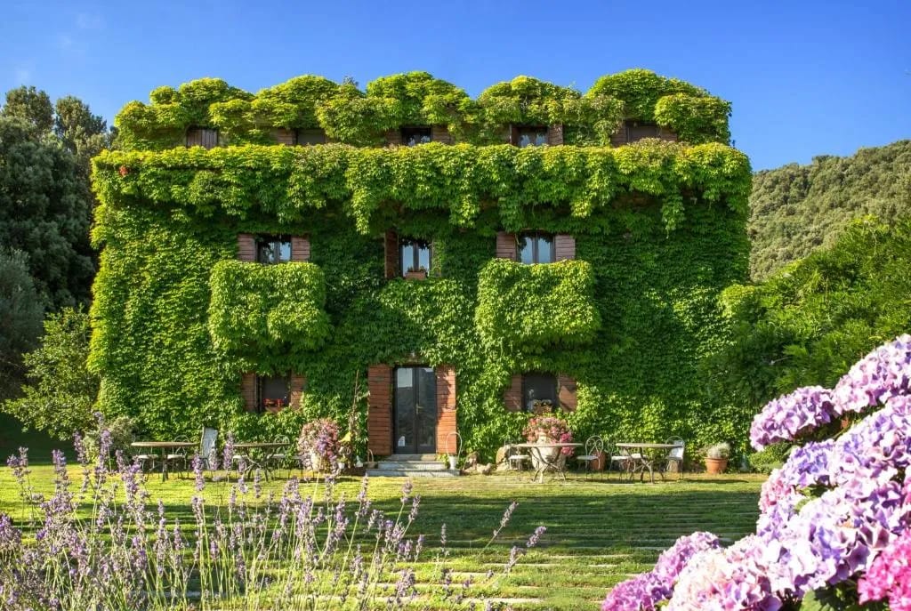 L'Agnata di De André Boutique Hotel - Hotel de 3 estrelas em Tempio Pausania, Sardinia - photo 1