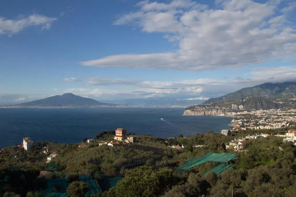 Hotel Il Nido Sorrento - 3-star hotel in Sant'Agnello hillside, Sorrento - photo 1